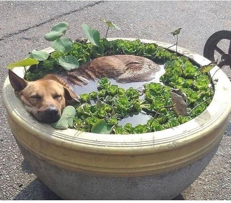 ��������, ����!. ������� �� ���������� ���������� ��������� ������� ����, ����������� ������� �� + 38 ��