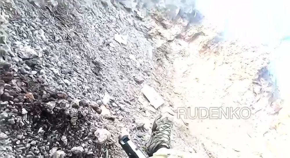 ����� � ������������ GoPro ��������, � ������������� �������� ������, � ������ ���������� ������ �������� ���������� ���������������