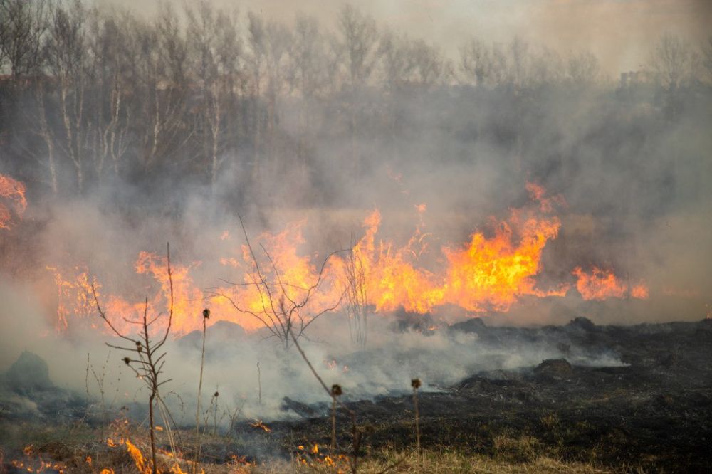 ����� ������� �������� �������: