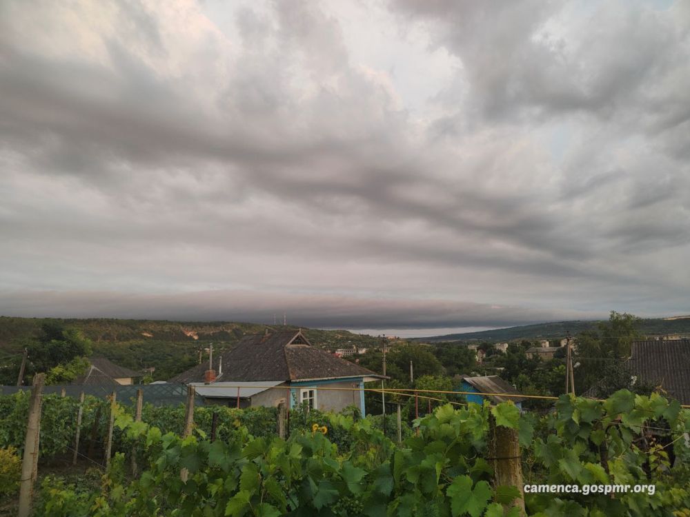 ���� ��� ��������. ������� � �������� �����