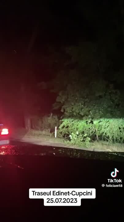 ���������� ��������� �������� ������ �� ������ � �������