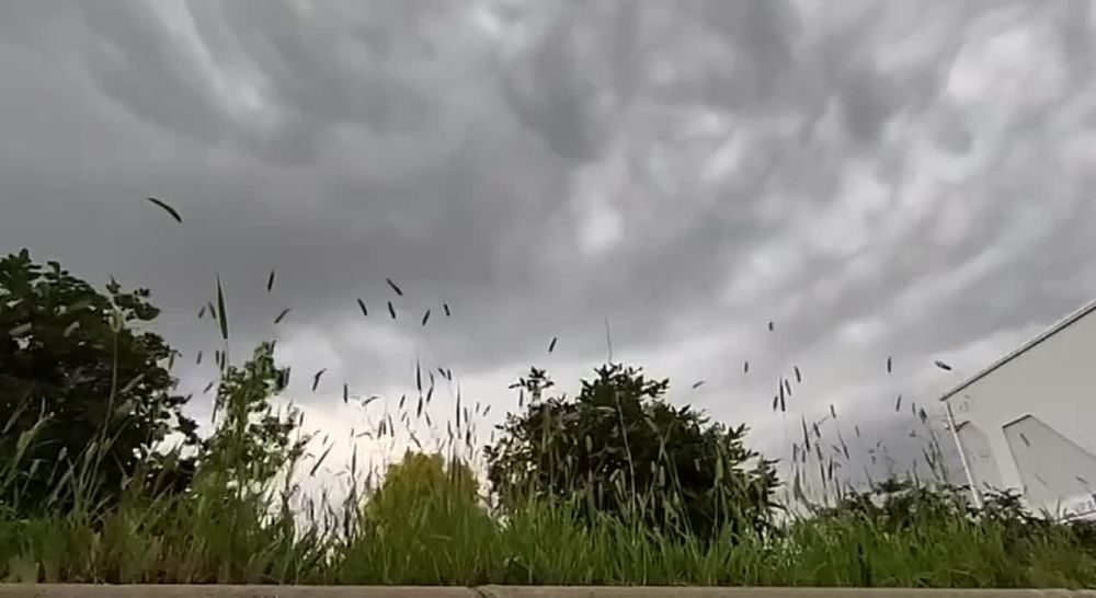 ������ ����� ������