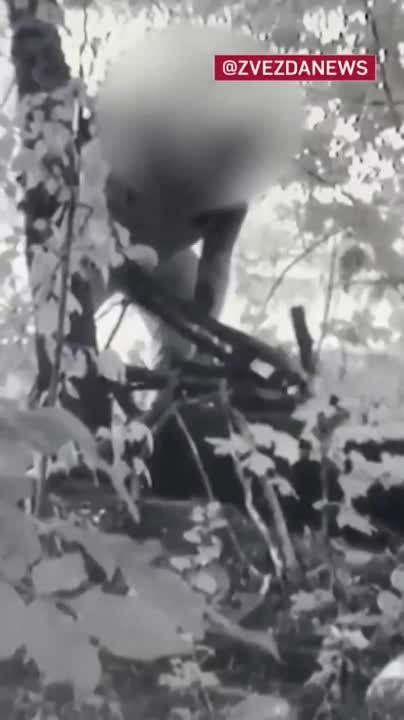 ��� �������� ������� ��������� ������� ��������� ������ �� ������� ������������� �����, ������� ������������ ������