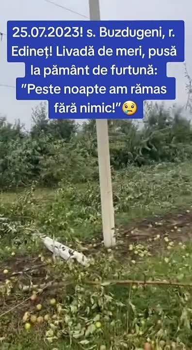 ��������� ������ � ������� ��������� ����� ��������� ���. ������� ������ ����� �� �����