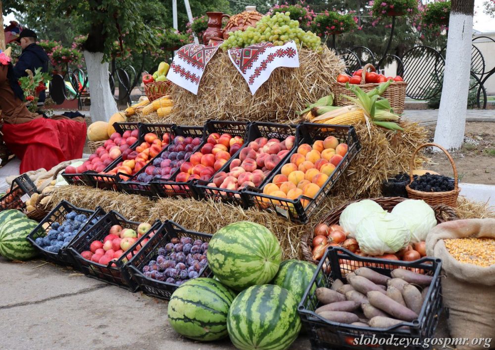 29 ���� � ������������� ������ �������� ����� �������������������� �������