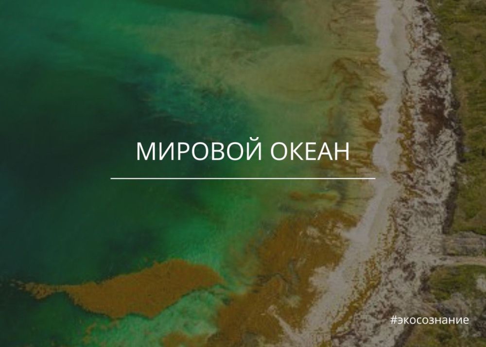 ������� ����� ��������. ������ ������ ����������� ������� �� ��������� ��� �����������, ������� ������ �� ��� �...