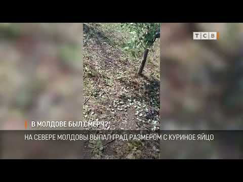 � ������� �������� �������� ������� ������ �������. ��� ������������� �������� �������� �� � �������. ������ ����� ���������� ������ ������ � ������ ������. ��� ����� ���� �������� � ������� ����