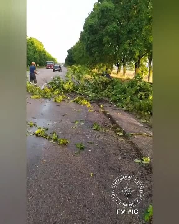 ����� ��������� ����������� ��������: