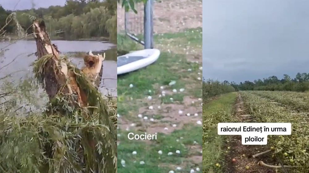 ���� ������, ������ ����� ����������: � ������� ������ ������� � ������ ����, ����� ������ ����, ��������� ������, � ���� ����� ����� � ������