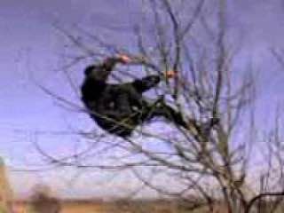 ������� � �������. � ������� 53-������ ������� ���� � �������������� ������, ����� ������� ����� ����� ������. ���...