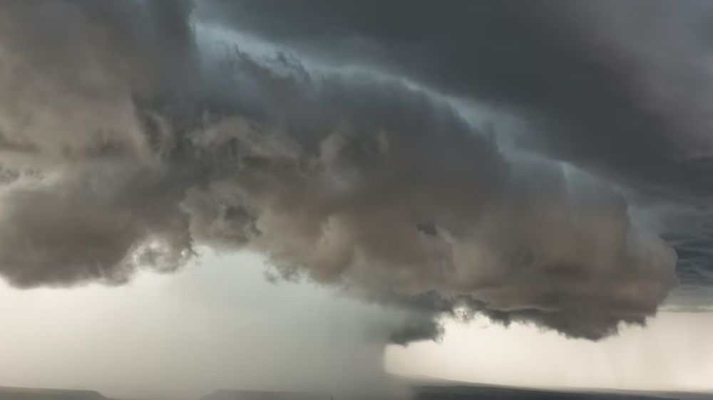 ������� ����, ��������� �� ��� ��������� � �������, ����� �� ���� ������ �����: �� ������� ����� ���� ����� � ��������� ������ � ����� ��������� �����