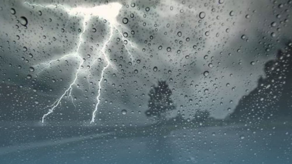 ����� ��������� ����������� ��������, �������� �����-������ ���