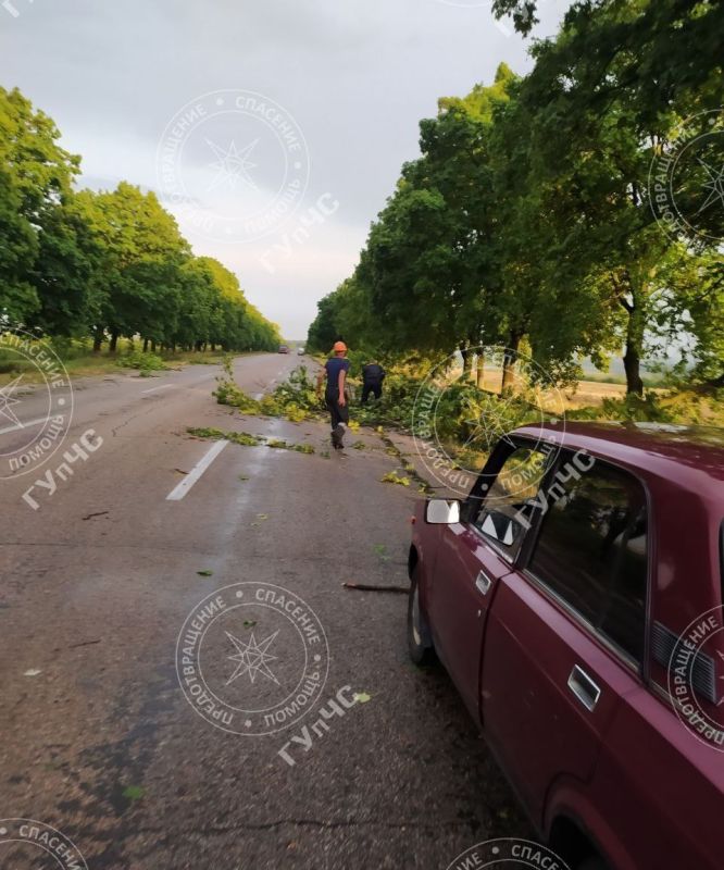 �� ��� ��� �������� ��������� �������� 36 ���