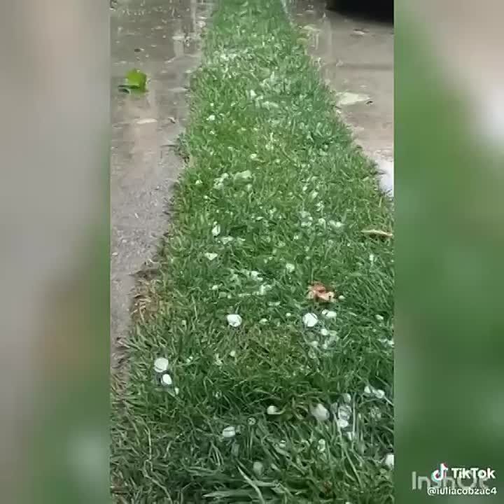 ��������� ���� � �������. ������� ����� ������ ����, �� �� �������� ������ ������