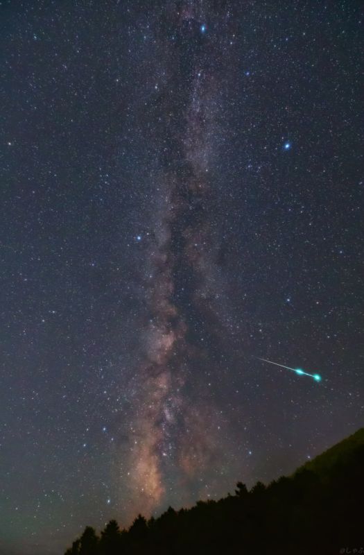 ����� ������ �� ���� �������� ���� ����� �����