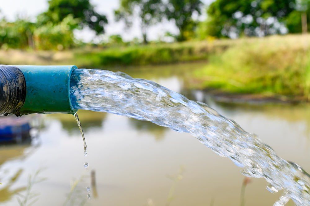 � ���� ���� ������������ ������ ������� ��������� ������ � �������� �������������, �������� �����-������ ����������� ���