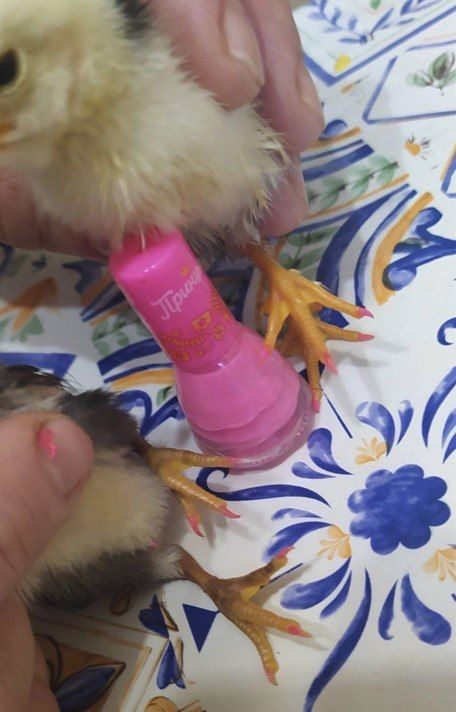 ������� ������ ��� ��� ������, ������ � ���� ���������� ������ �������