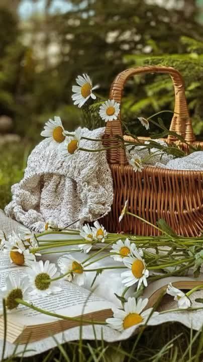 ������ ����!