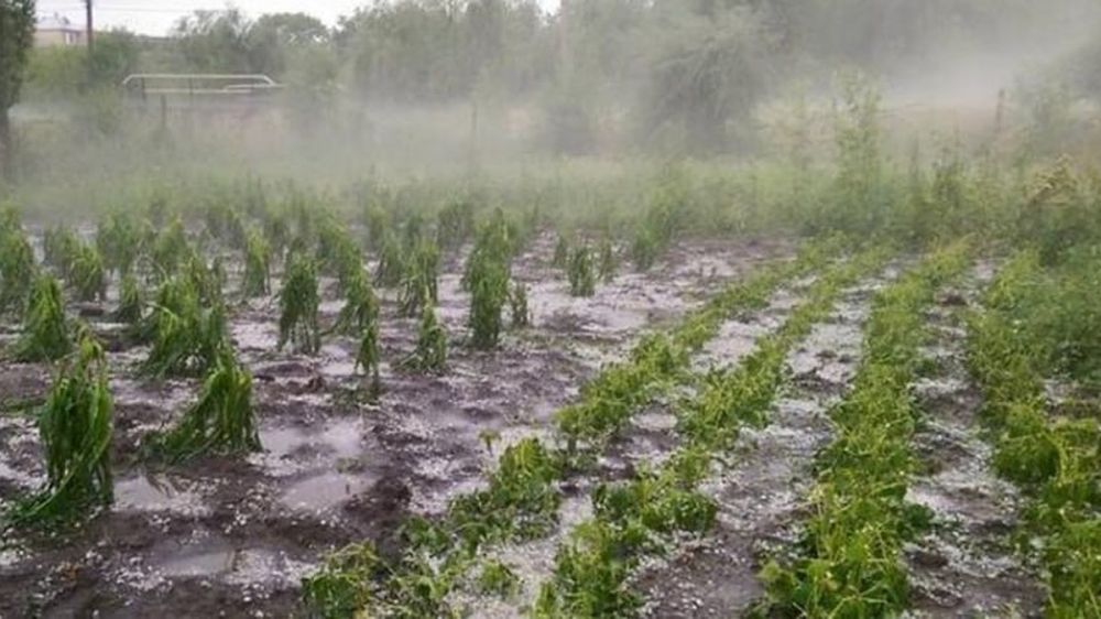 ����������� ������, ������������ �� ������� 25-26 ����: 10 ��� ��� �������� ��� �����, ��������� ��������� ������ �� ���������� ��������, ���������� ����