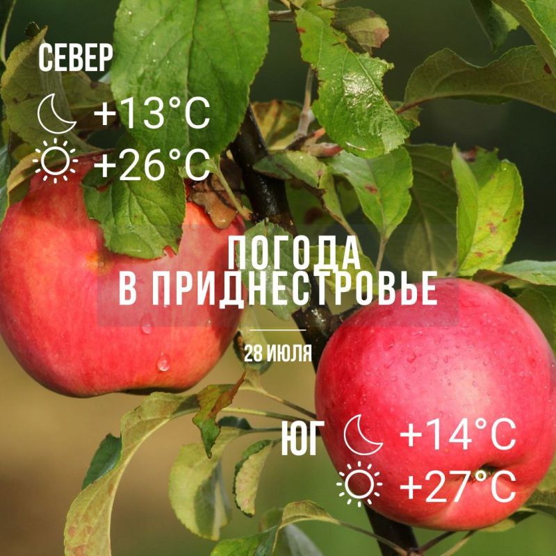 ������ � ���������� �����