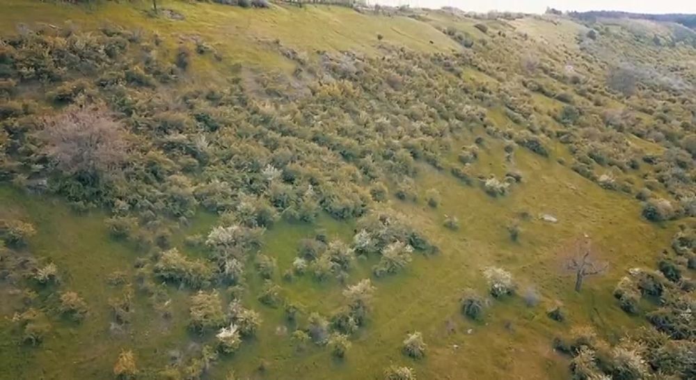 ������� ��������.. ������ ��������������� �� ���