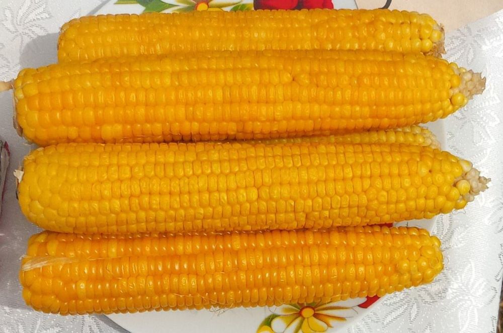 ������������ ������� ������������ ��������� � ������������ ��������