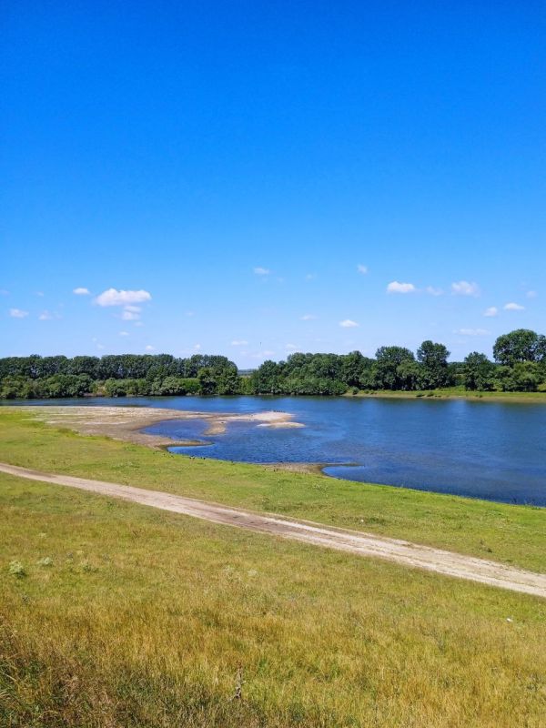 ������ ����� ������� � ������