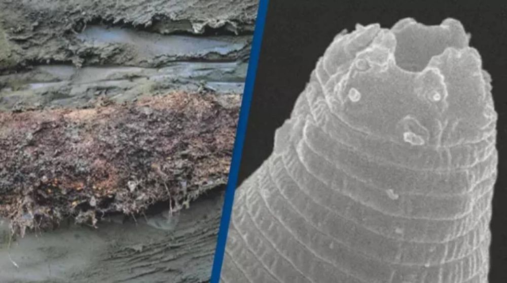 ������ ������ ������� "�������" ���������������� ������-�������, ������� ������� 46 ����� ��� � ��������� ������ ��������