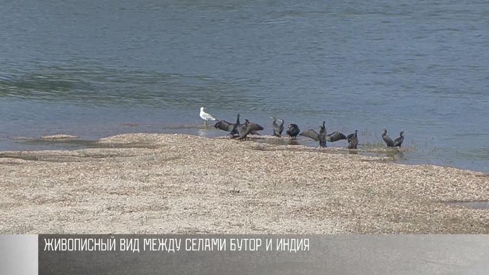 ����-��������� � ���������������� �����