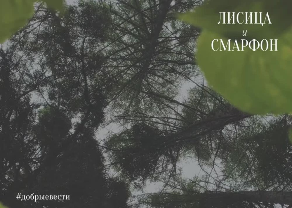 ������������� �� ����. ���������� ������ � ��������� ������ ��������� ���� �� ������ ��������� ����������