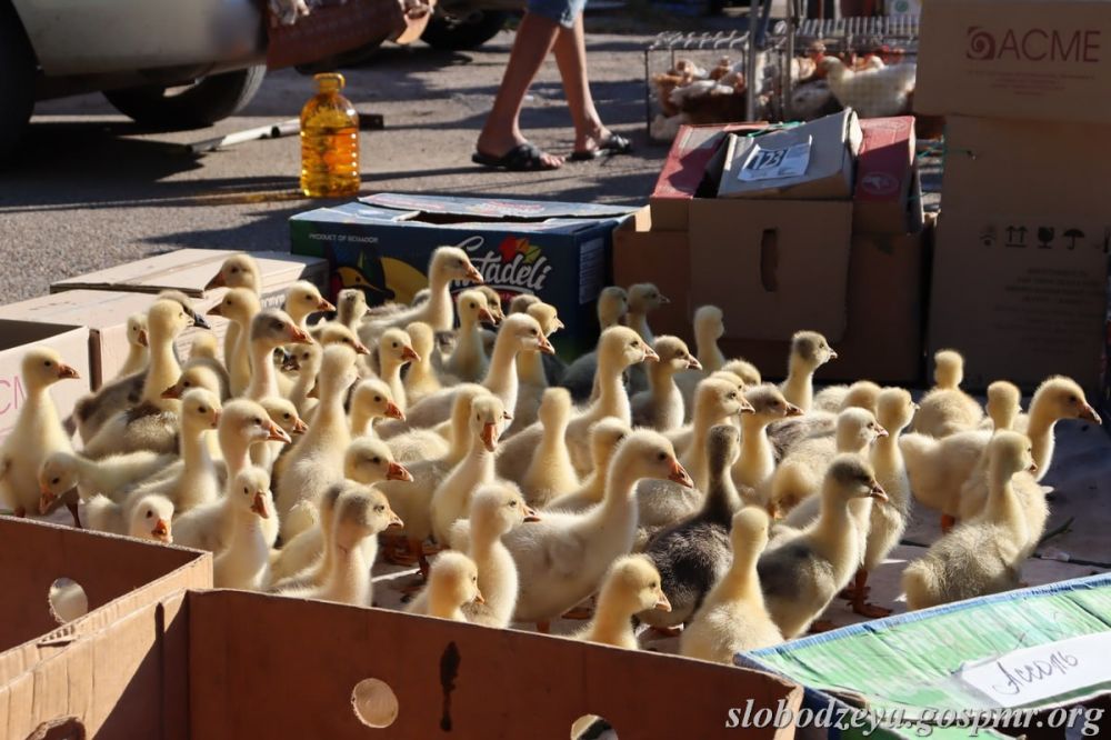 ������� �� ���������. ��� ������� ������� ��������� ���.. ������, �����, ������� � ����� � ��� �� ��������� ����