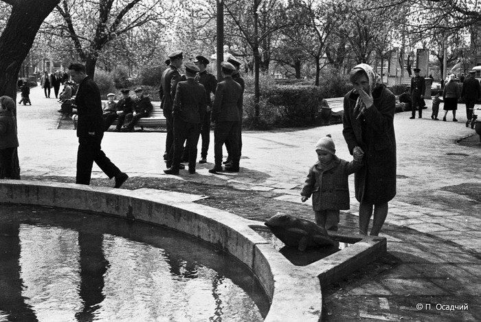 � ���������� ������������ ����������� ������� ���������� ������, �������� � ��������� ���� ��������� ������������ �...