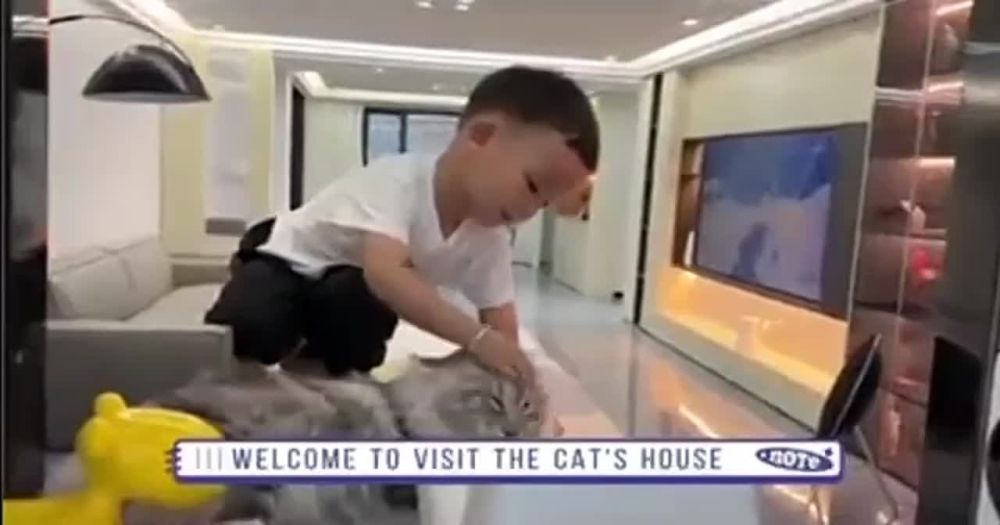 � ����� ����� ������� ������ ������ ����� �������� ������ ����� �������� � ������ ���� �������� � �����������, ����� � �����������, ������ � ��������������� ����� � ���� ������� � ��������