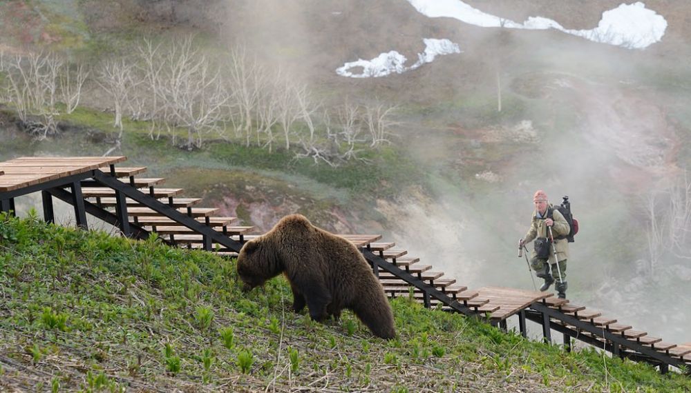 ����� �������������� ��� ������������ ��������� ����������� � ��������� �����, ���� ������ �������: ������ ������, ����������, ����, 150�