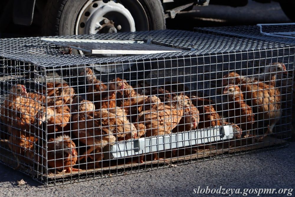 �� ������� ������ ���� ����� ����������� � ��������� ���������