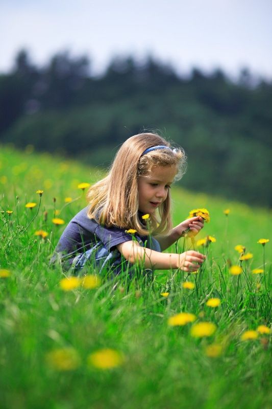 ����������� � ������ - �������� � ������� �� ������, � ����� ���������� �������� � ���, ��� ������������ ���� 29 ����