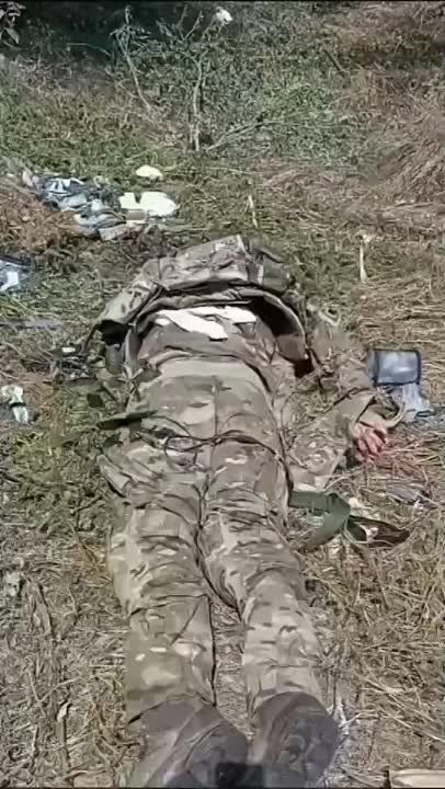 ������ ����������� ����������������