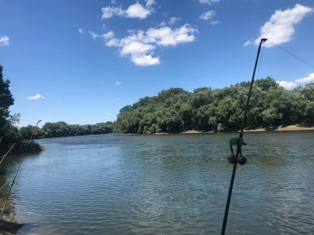 ��������� ��� ���� ����� �������, ������� ������� �����