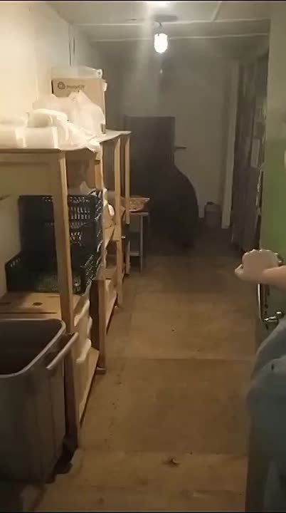 ��� ���� �������� ������, ��*���