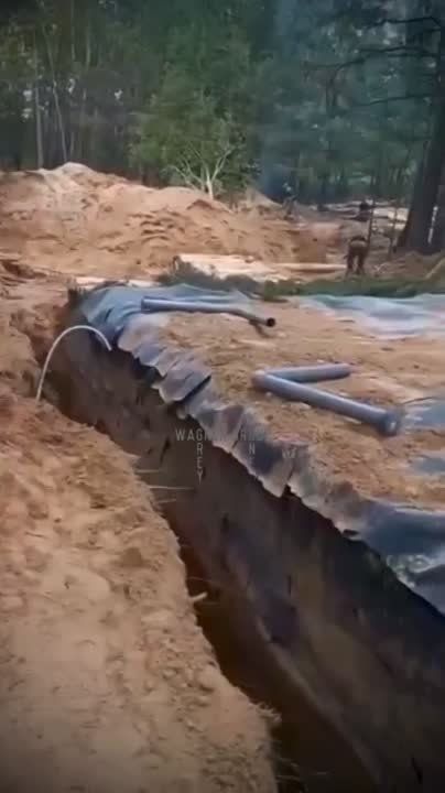 ����� ������� ������� ���������� ������������ ��������� �������� ������ � ������ ���������� ������ ���� ��� ������������ �����������