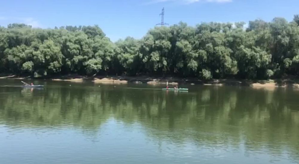 ���-�� ����������� �� �������