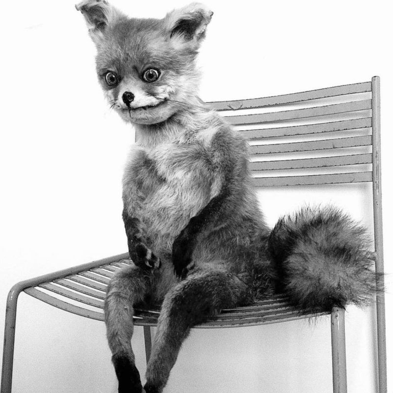 ������ �� �������� ���������� ����� ������������� ������������ ������������ � �������������������� ���������