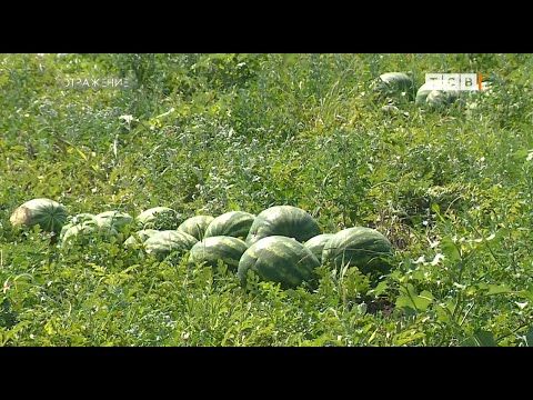 � ������������� ���� ���� �������� �������. ��� ���� ��������, �������� ����� � ������� ����� �������� ������. �� �����...