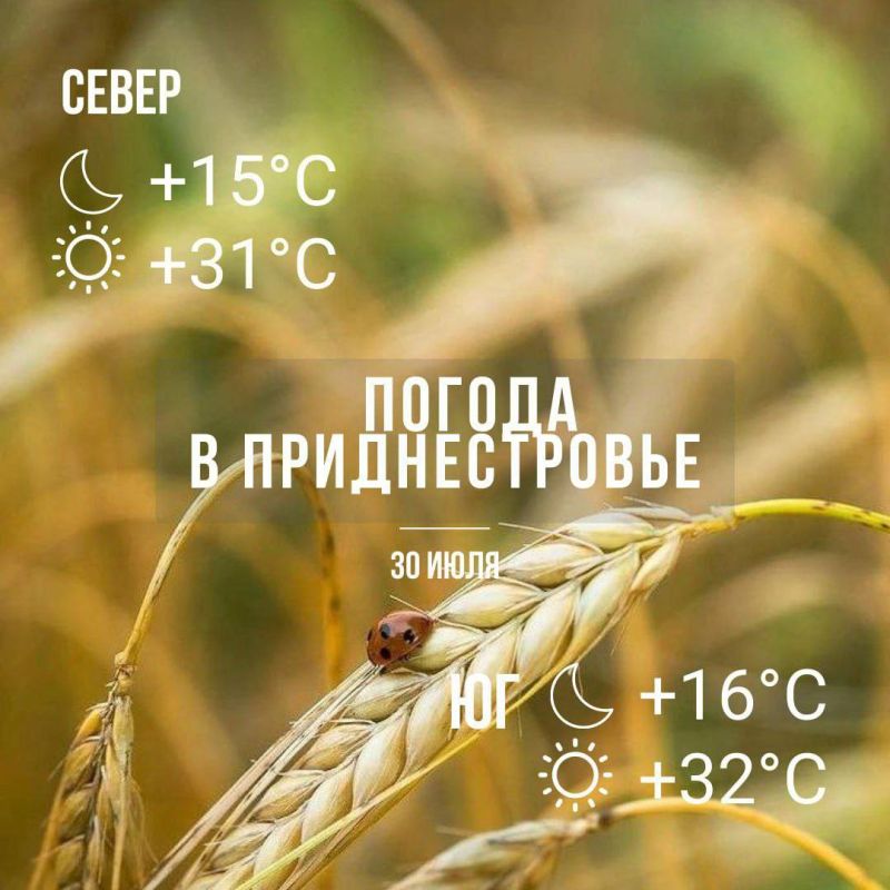 ������ �� �������: ����� ������� �� ����