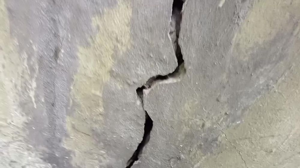 ��� ����� �� ����������� �������������