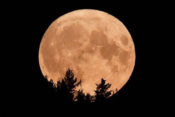 ����� ��� ���������� ���������� � �������