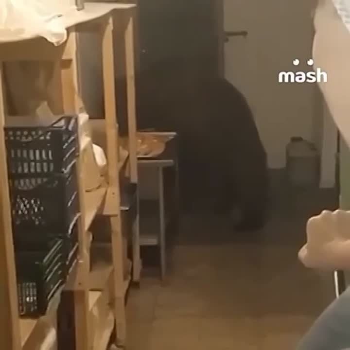 ����� ���� �������, ����� ���������� 125 �������� � �������� ������� � ��� ����������� �������