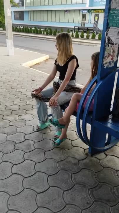 ������ ����������, ������ � ��������� ������� ���������� ������ ������