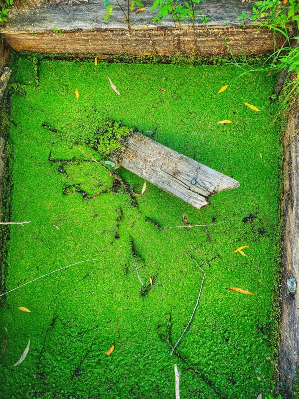 ���������� ����� ����� �������� � �������