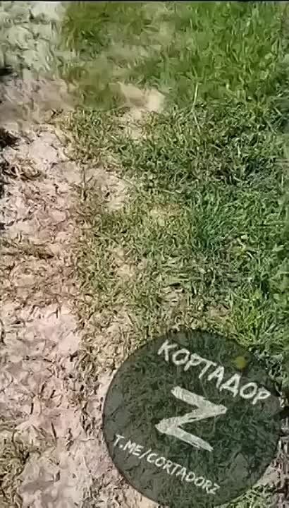 ������� �����, ������ +18. �� ������ ���������� ������ - ������������ ������ ������� ��� ��� ������ � ����������� ���������